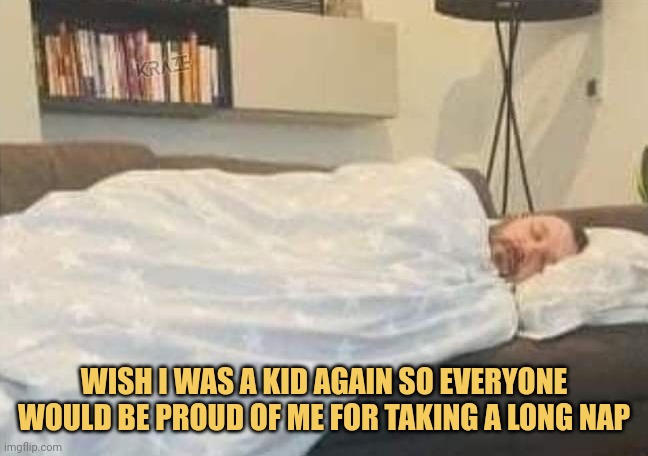 meme WISH OWAS A KID AGAIN SO EVERYONE WOULD BE PROUD OFME FOR TAKING A LONG NAP
