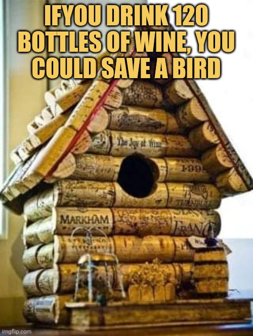 meme IFYOUDRINK120 BOTTLES OF WINE, YOU COULD SAVE A BIRD