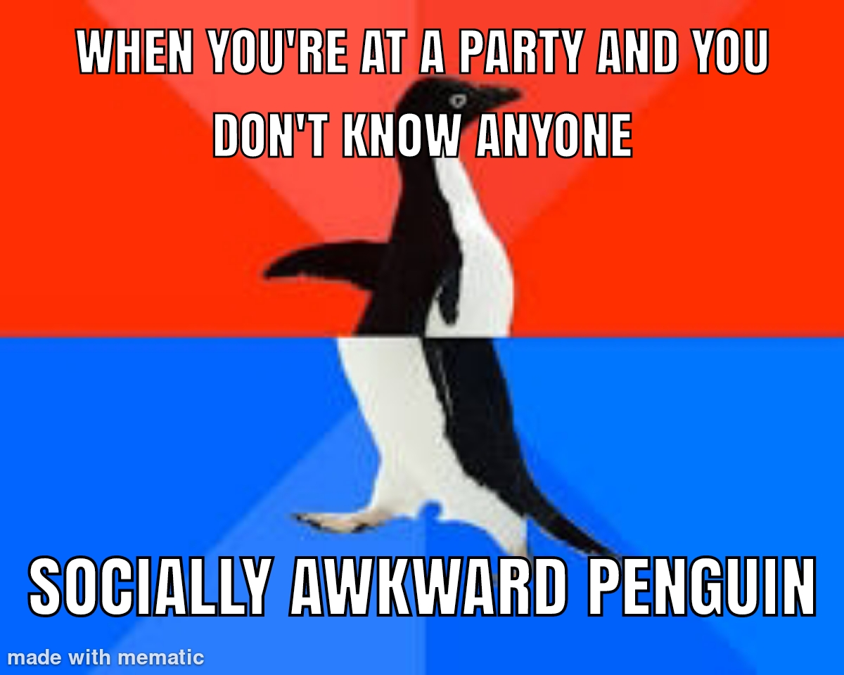 Socially awkward pinguin