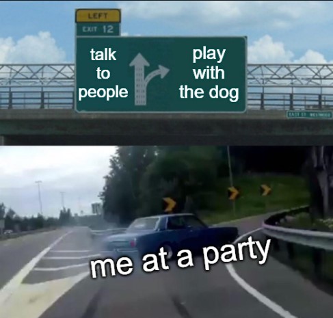 meme and then it turns out the dog is extroverted and goes toward the crowd and you're all alone on the floor, feeling awkward af
