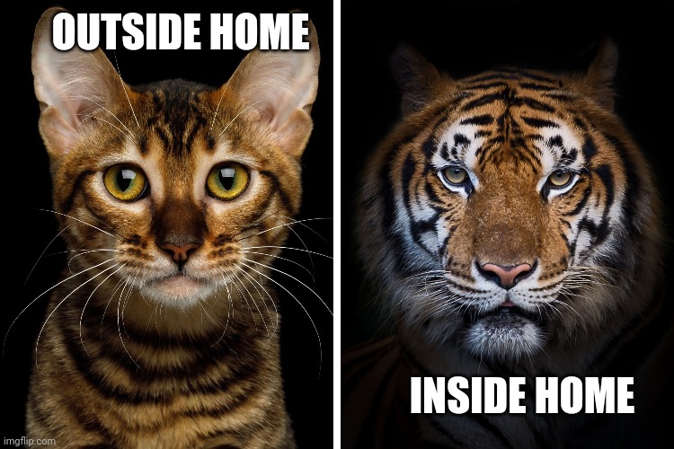 My brother inside house vs outside house 