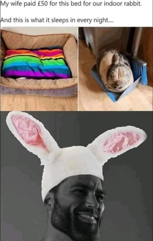 Based rabbit