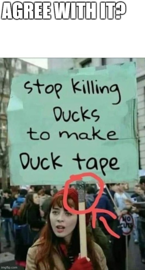meme do duct tape made of ducks