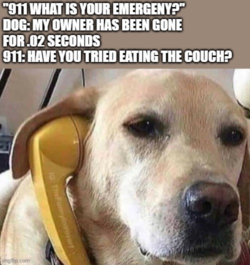 meme he is tried eating the couch
