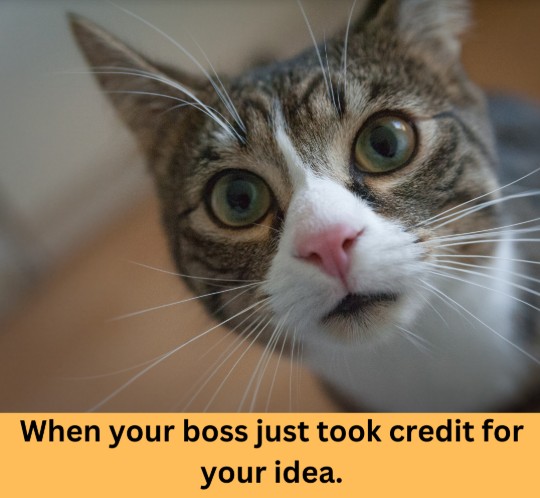 Stolen Ideas meme