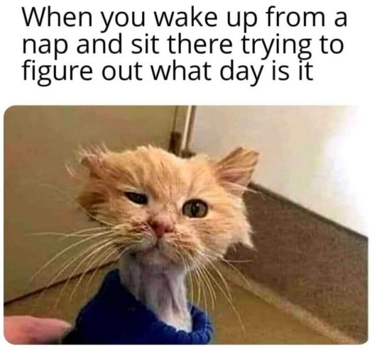 Is it Monday... or Tuesday? meme