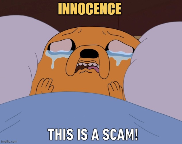 Boys after falling in love with a innocent girl meme