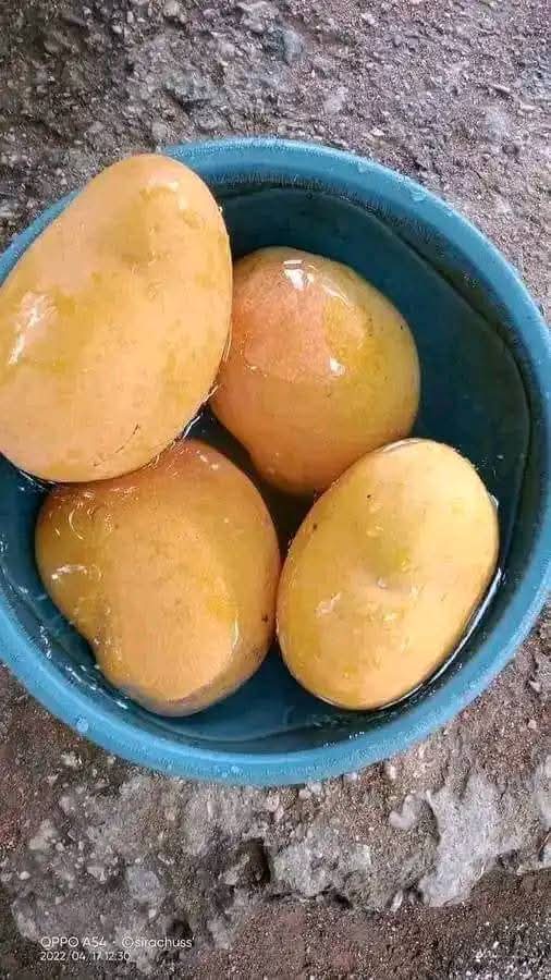 Almost bite the screen