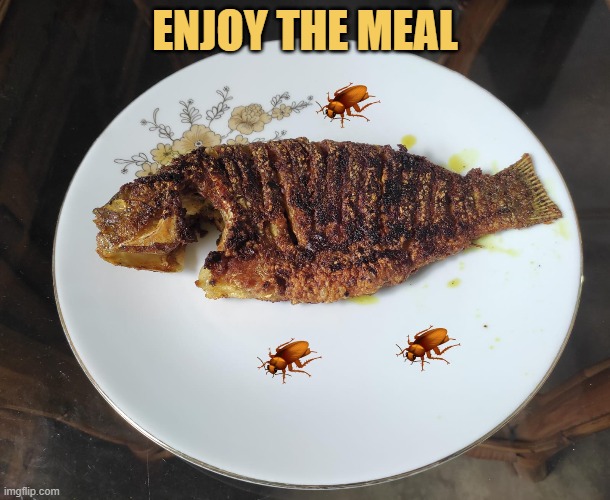 Welcome to PicturePunches 100 users special party meme