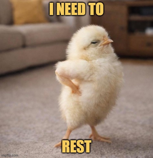 After working on PicturePunches for 10 years ...