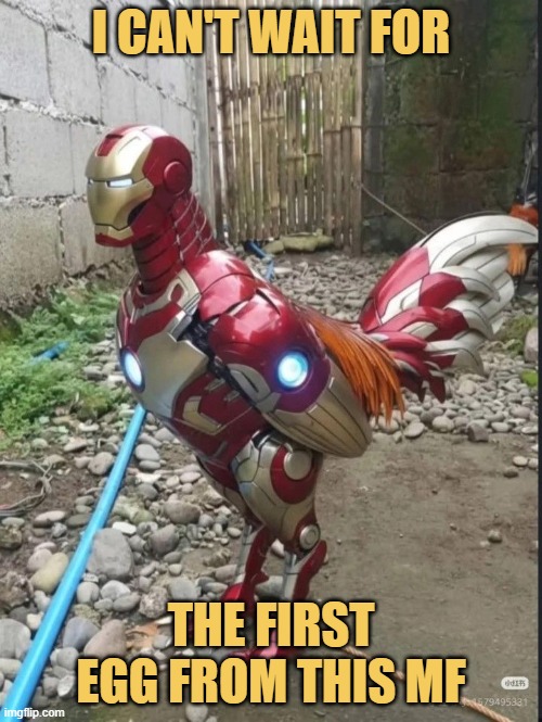 I need some iron eggs :) meme