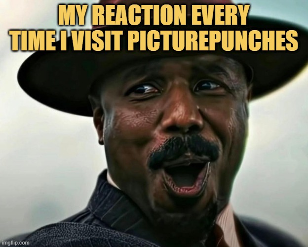 Memes on PicturePunches is too funny meme