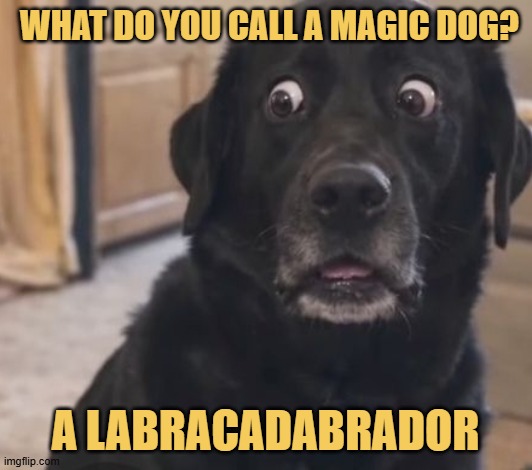 I didn't know that before LOL meme