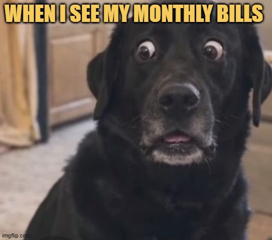 I need to find another job meme