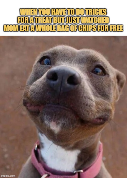 This is not fair meme