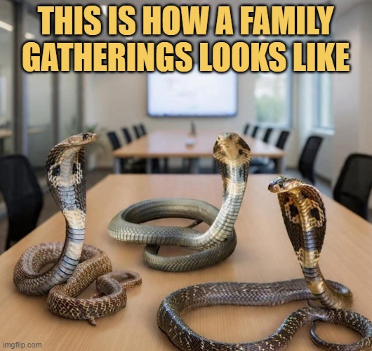 After you became successful meme