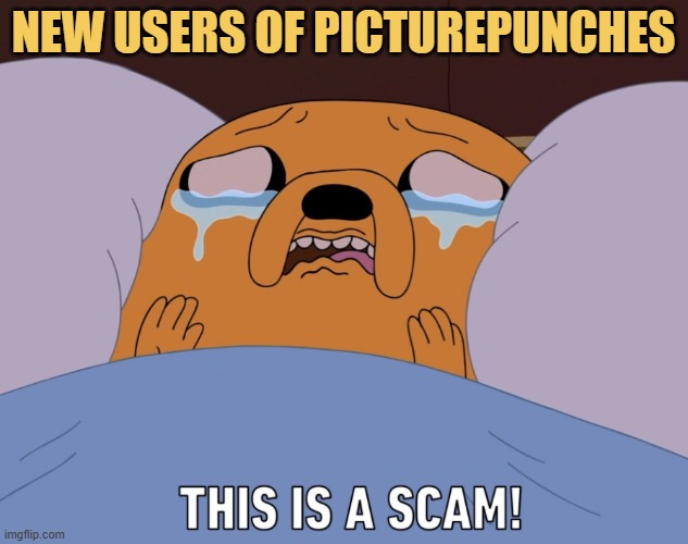 New users after making money from memes for the first time