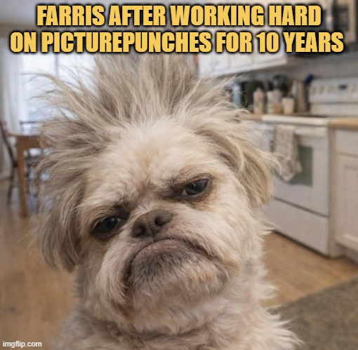 Watching users begging for rewards  meme