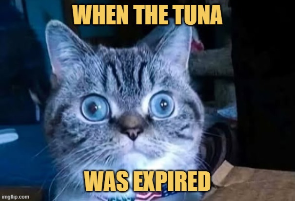 You need to check expiration date before you eat ... meme