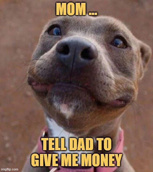 Using your mom as a weapon of mass destruction ... meme