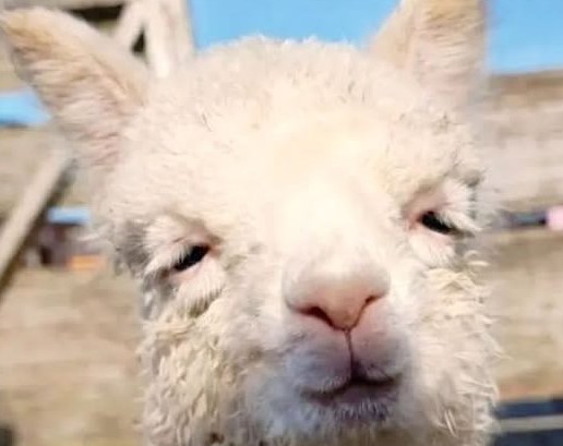 When you realize that you need backlinks to rank on Google, and you need to rank to get backlinks.