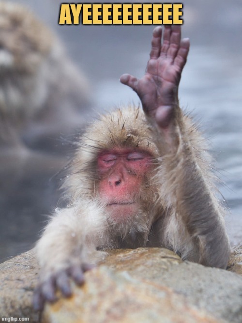 Me after reading the new announcement by Farris meme