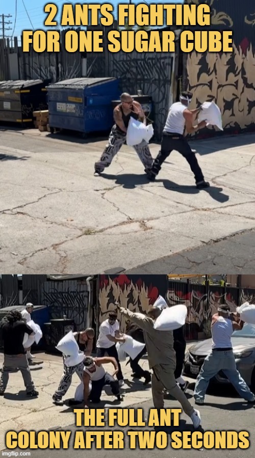 I AM A ANT SCIENTIST meme