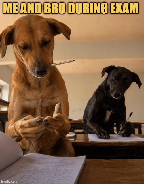None of us studied for the exam meme