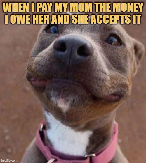 That's not very nice mom :) meme