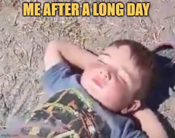 Doing nothing whole day and then just napping meme