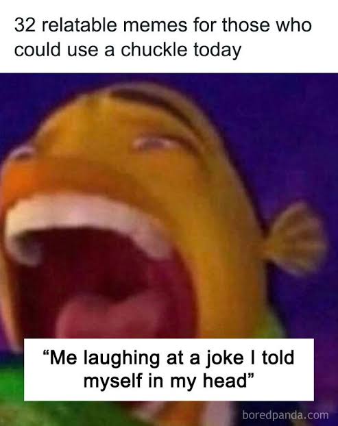 Jokes that always lands meme