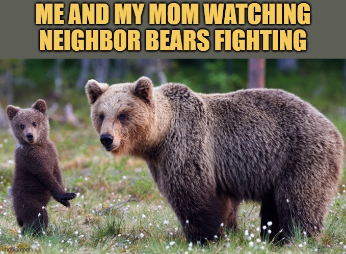 They are fighting over honey meme
