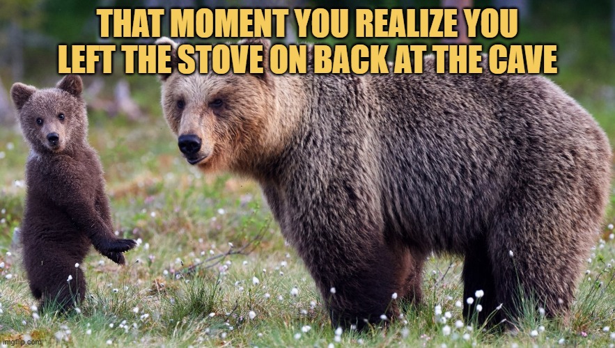 Big cave mistake by bear mama meme