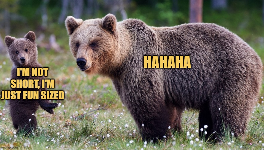 Why are you laughing momma? meme