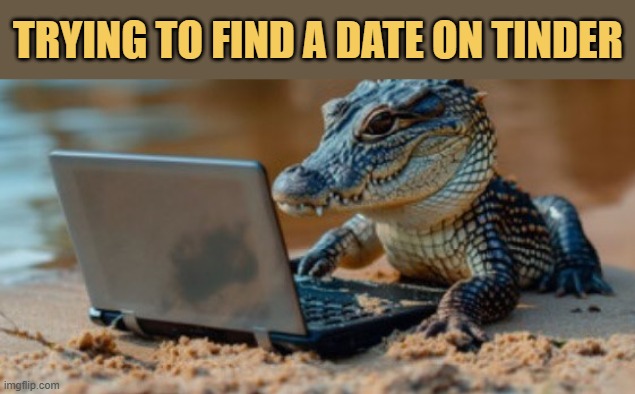 Lots of pretty crocodiles on tinder meme