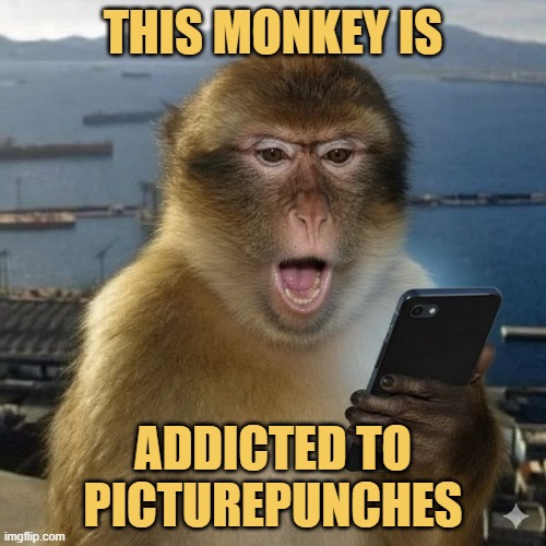 We are targeting monkeys on Reddit