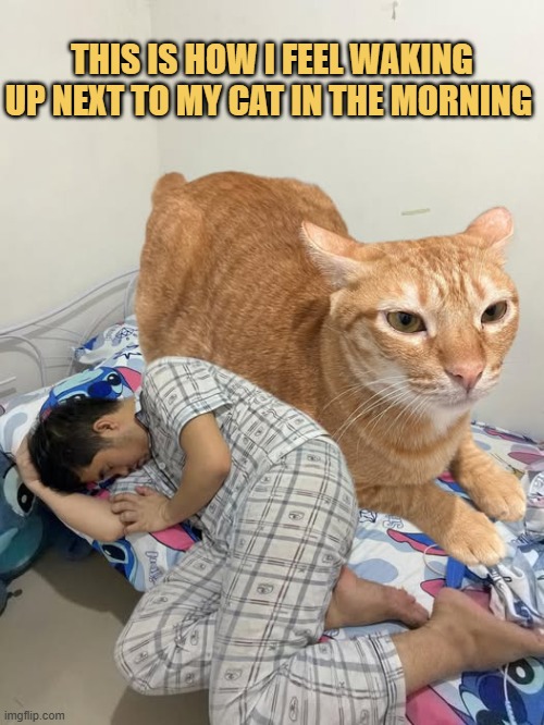 For real meme