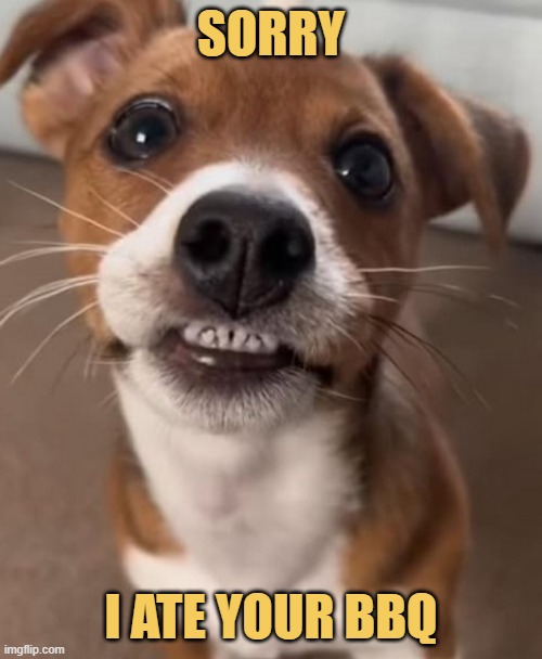 Should I eat him now guys? :) meme