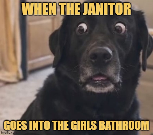 What the heck meme