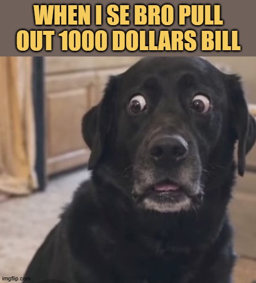 After I borrowed him 500 dollars meme