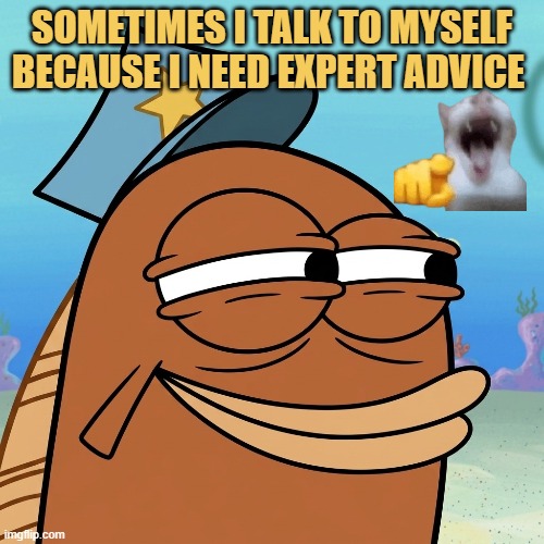 Ask me for any advice meme