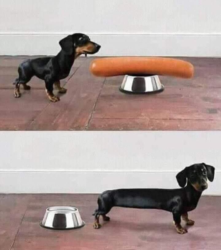 So That's How It's Done meme