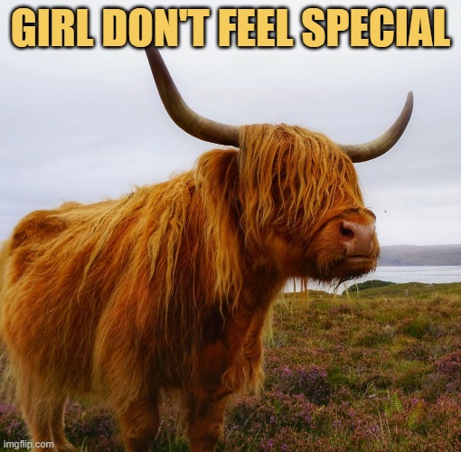 There are 100 other girls ignoring me meme