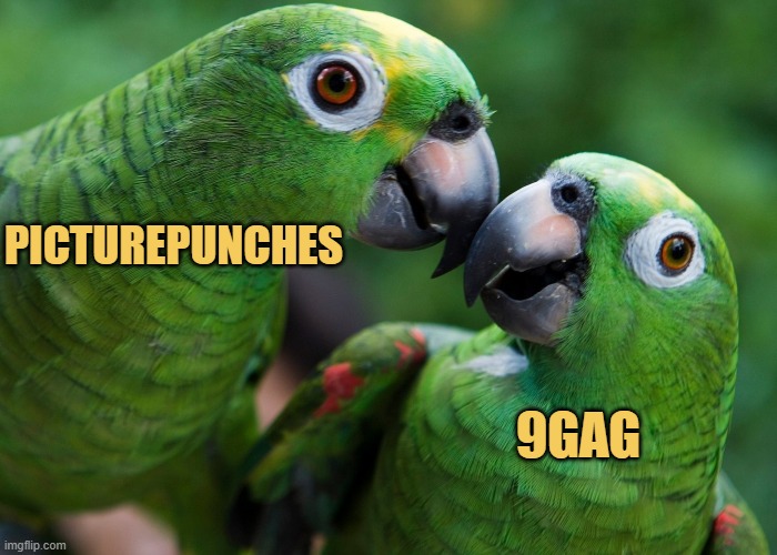 Same same but different meme