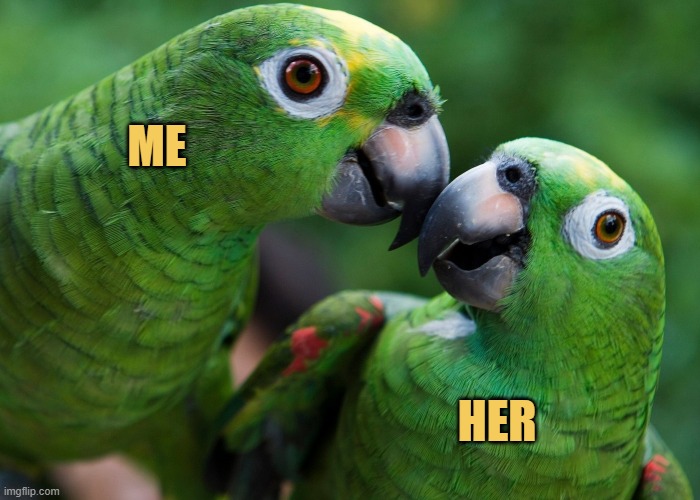 After fighting all day meme
