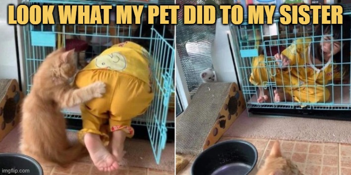 my poor little sister lol meme