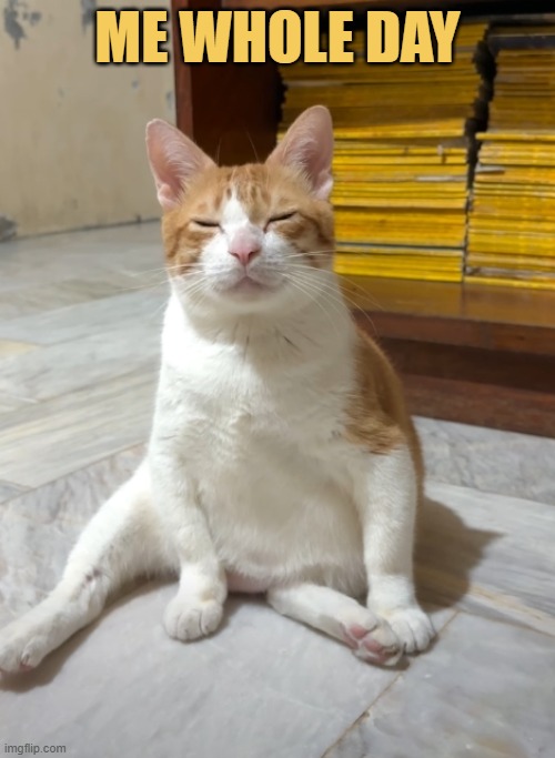 i am so sleepy meme