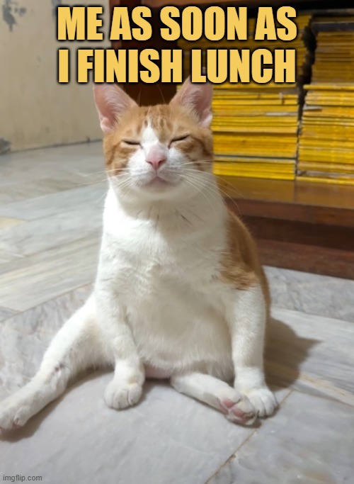 at work i be like meme