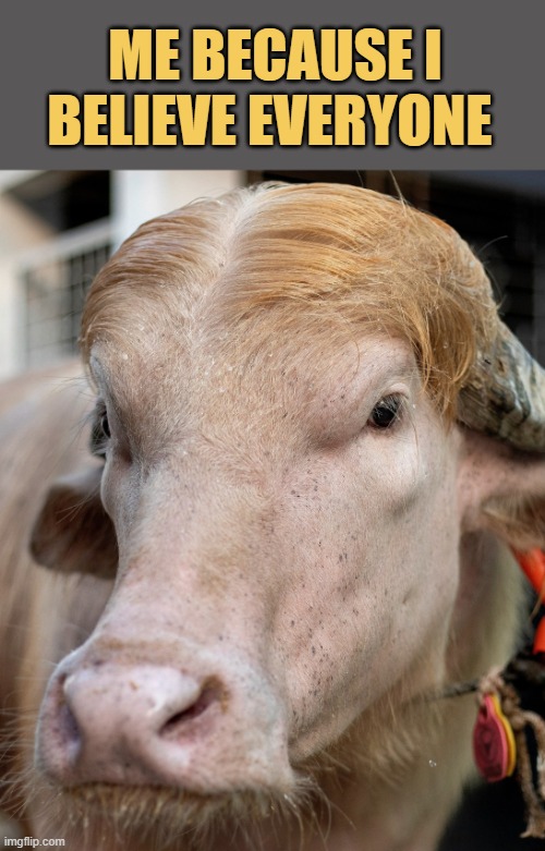 i am just a cow meme