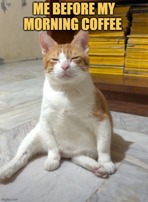 i need a coffee meme